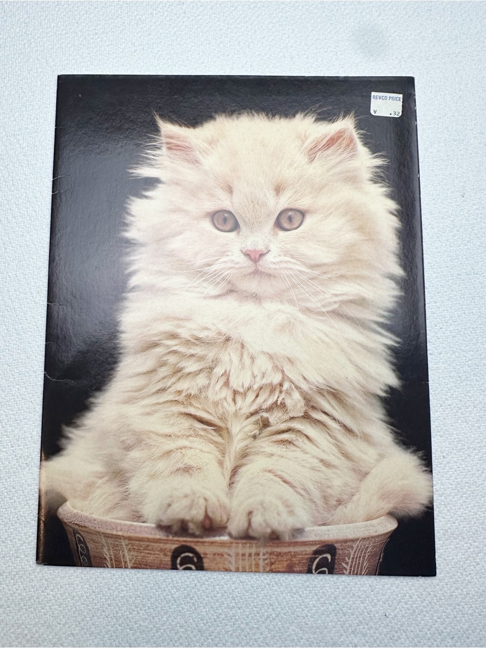 Vintage 1970s Mead Kitten Cat Folder Soft Cream Cat Cover